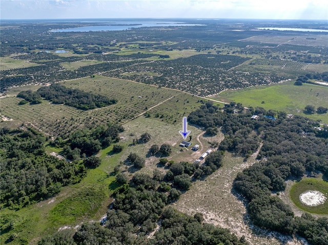 1040 Backbone Rd, Babson Park, FL 33827 - photo 49
