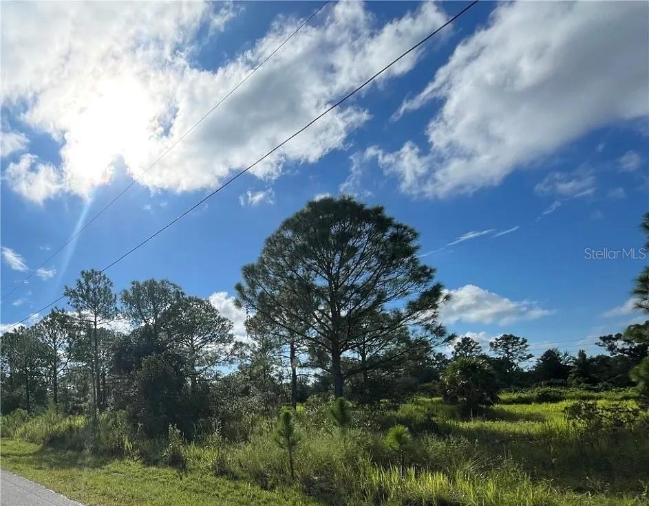 7121 Ancha St, Sebring, FL 33872 - photo 1