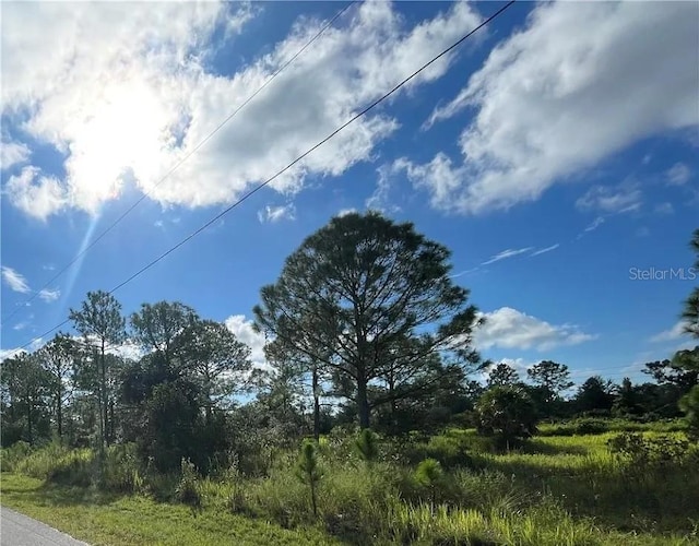 7121 Ancha St, Sebring, FL 33872 - photo 1