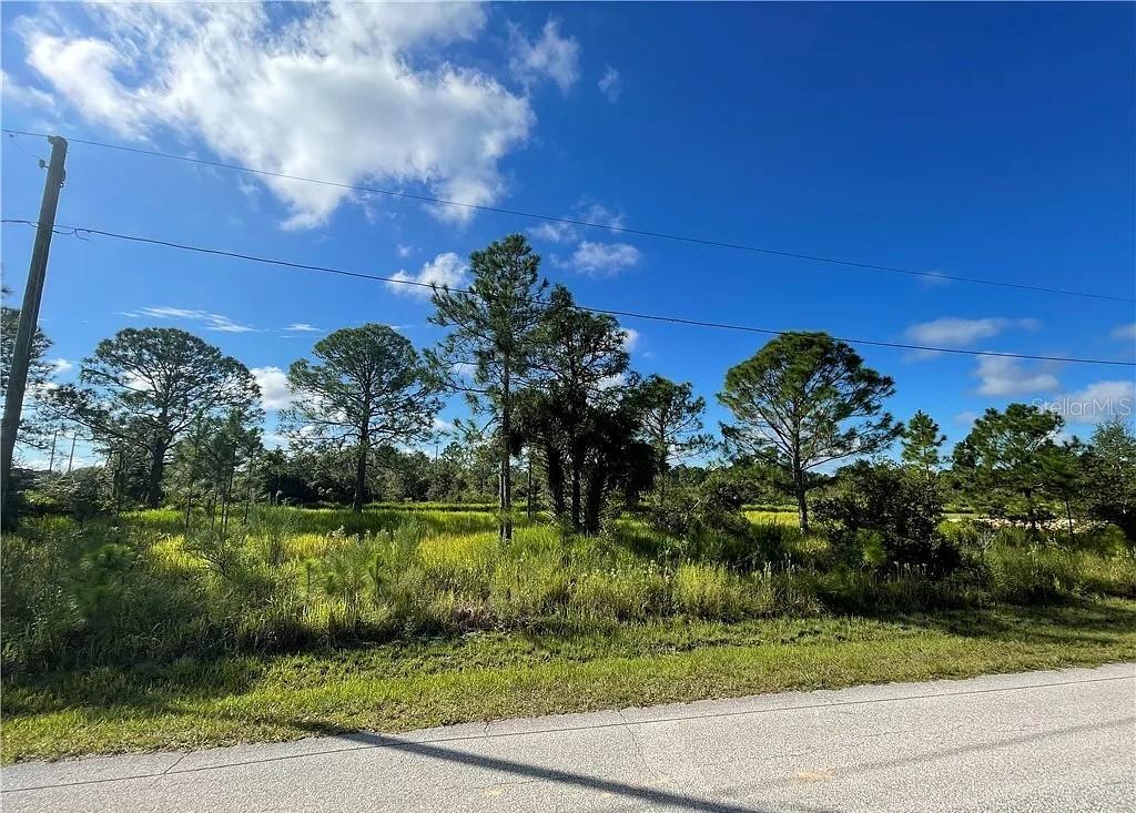 7121 Ancha St, Sebring, FL 33872 - photo 2