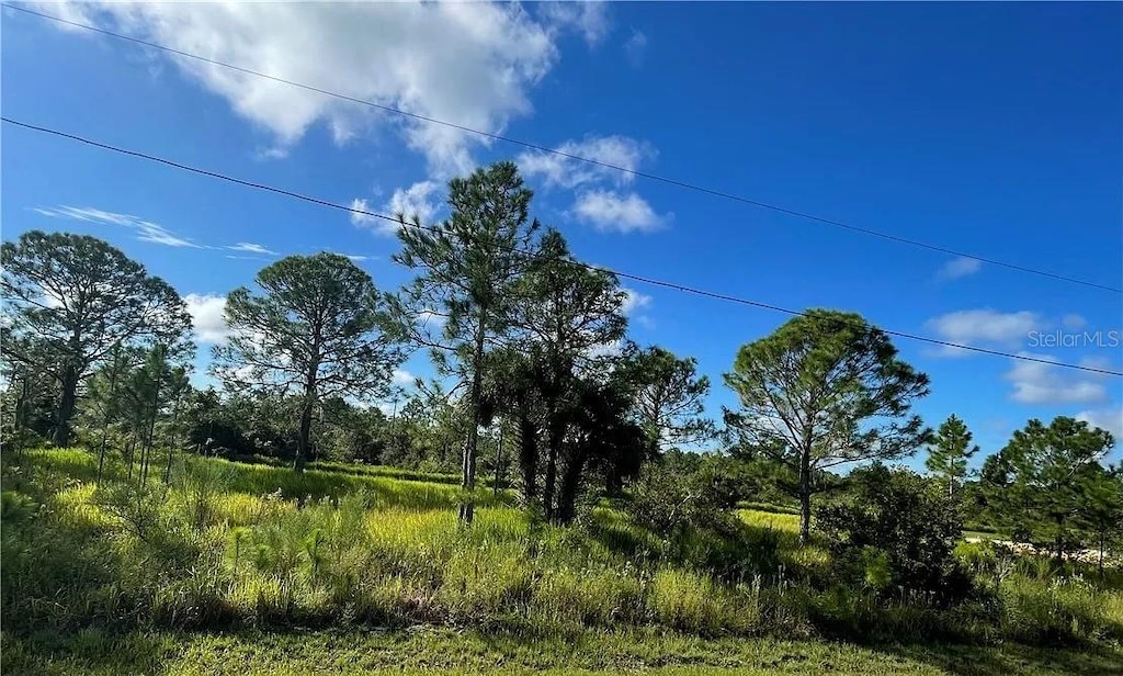 7121 Ancha St, Sebring, FL 33872 - photo 3