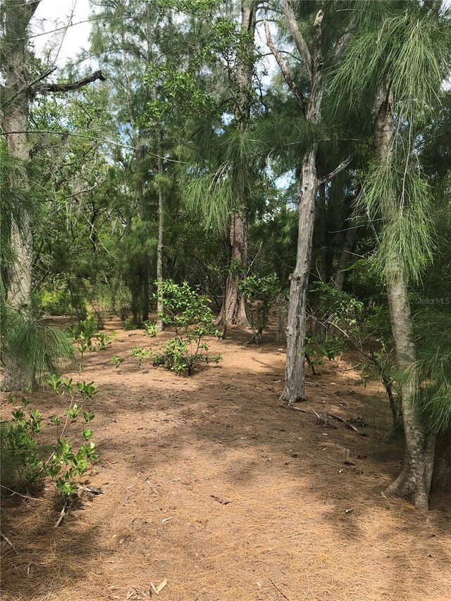 1250 Beach Rd, Englewood, FL 34223 - photo 11