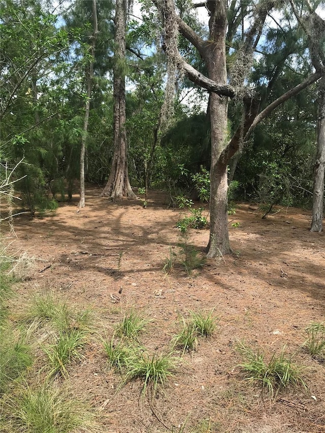 1250 Beach Rd, Englewood, FL 34223 - photo 12