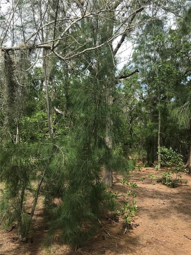 1250 Beach Rd, Englewood, FL 34223 - photo 13