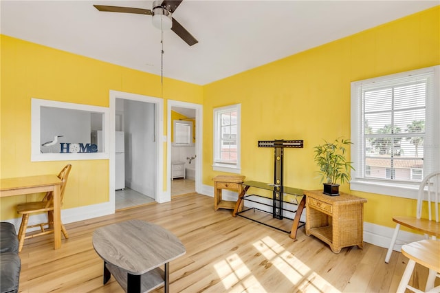 interior space with a healthy amount of sunlight, ceiling fan, and light hardwood / wood-style flooring