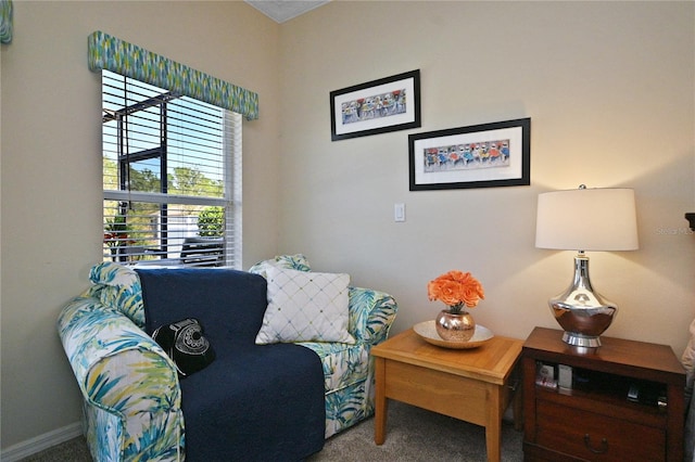 living area featuring dark carpet