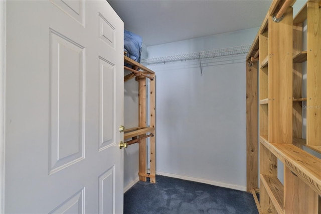 spacious closet with dark colored carpet