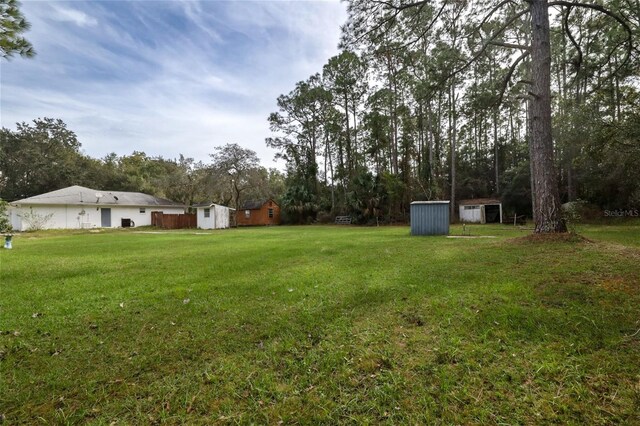 view of yard featuring a shed