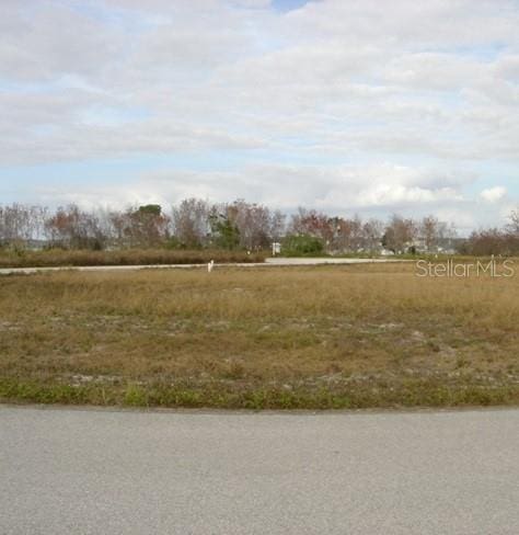 Sawgrass Run, Tavares, FL 32778 - photo 1