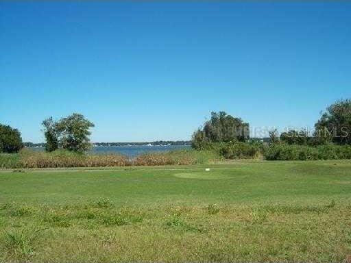 Sawgrass Run, Tavares, FL 32778 - photo 4
