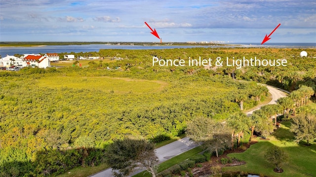 263 Minorca Beach Way Unit 803, New Smyrna Beach, FL 32169 - aerial view with a water view