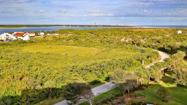 263 Minorca Beach Way Unit 803, New Smyrna Beach, FL 32169 - aerial view with a water view