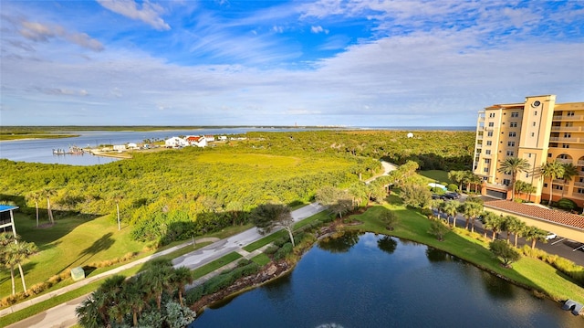 263 Minorca Beach Way Unit 803, New Smyrna Beach, FL 32169 - birds eye view of property featuring a water view