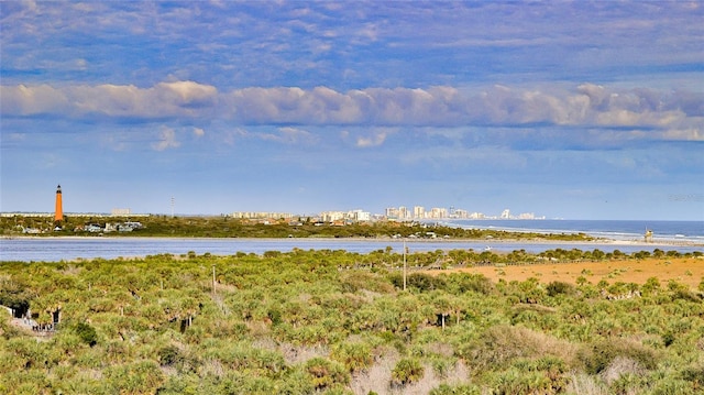 263 Minorca Beach Way Unit 803, New Smyrna Beach, FL 32169 - view of water feature
