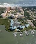 263 Minorca Beach Way Unit 803, New Smyrna Beach, FL 32169 - drone / aerial view with a water view