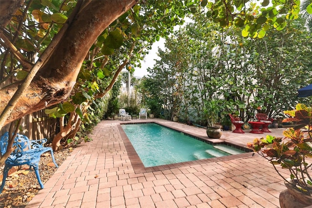 view of swimming pool with a patio