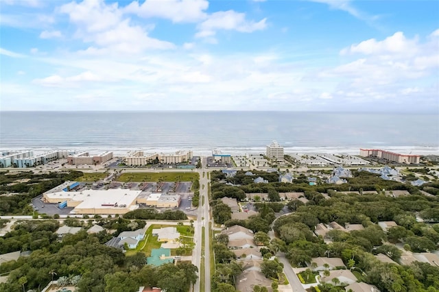 4211 Sea Mist Dr, New Smyrna Beach, FL 32169 - photo 42