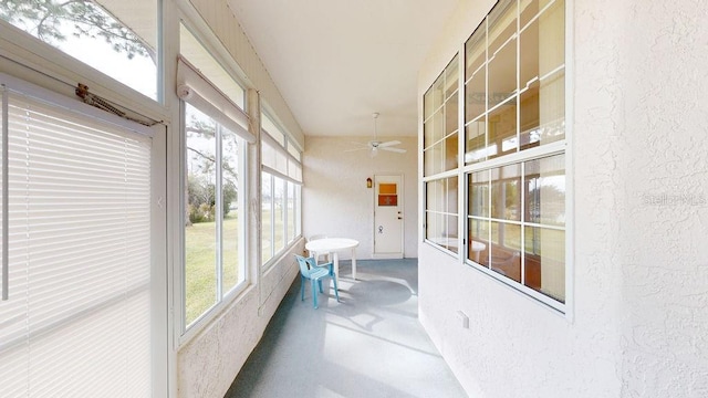 sunroom featuring ceiling fan