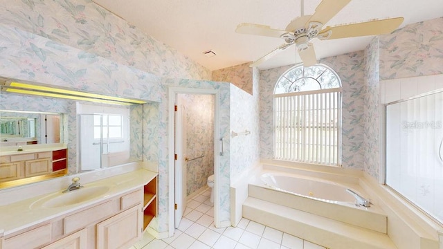 bathroom with plenty of natural light, a bathing tub, toilet, and vanity