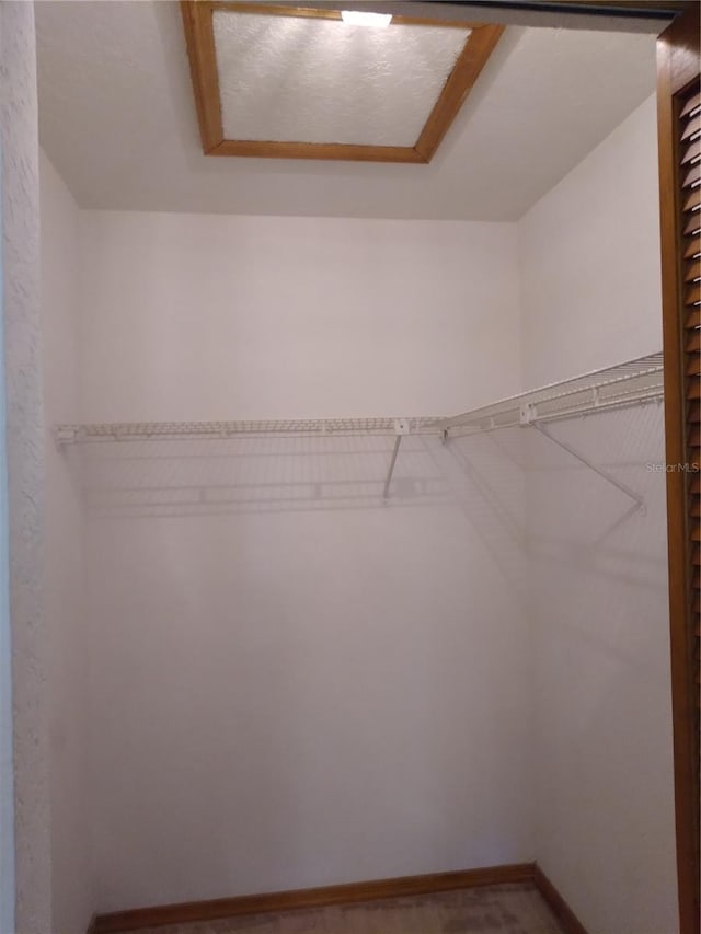 view of walk in closet