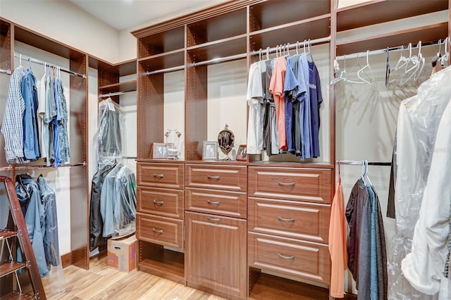 spacious closet with light hardwood / wood-style flooring