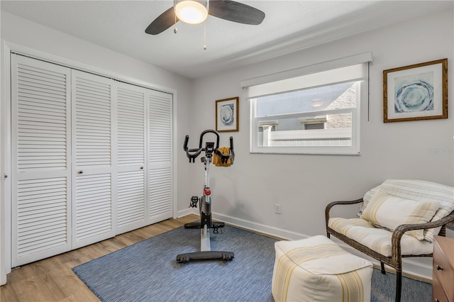 workout area featuring ceiling fan and light wood-type flooring