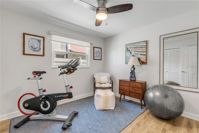 workout area with light hardwood / wood-style floors and ceiling fan