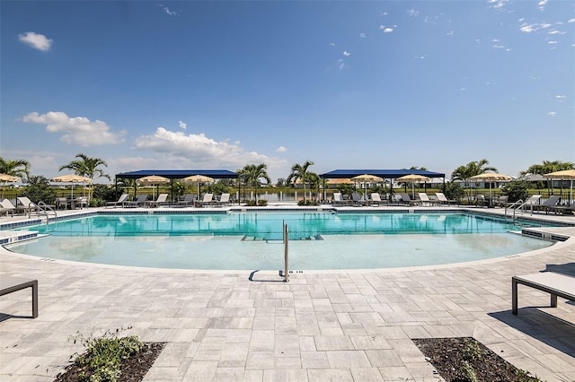 view of pool featuring a patio