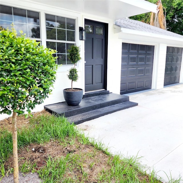 property entrance featuring a garage and driveway