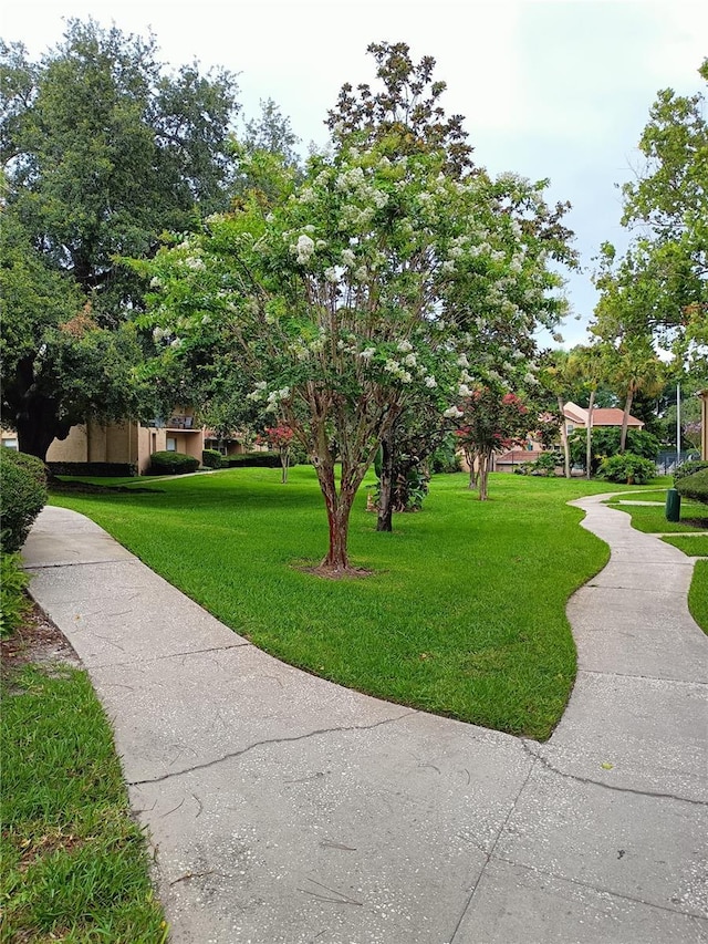 view of property's community with a lawn