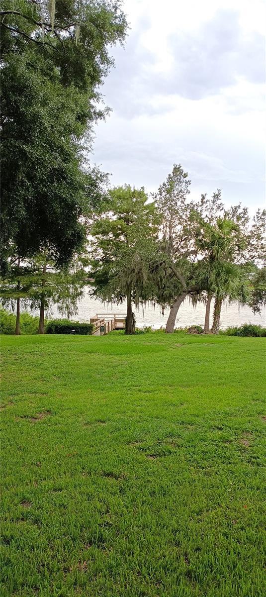 1019 Grove St Unit 85, Maitland, FL 32751 - view of yard