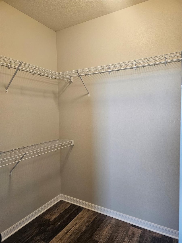 walk in closet featuring hardwood / wood-style flooring