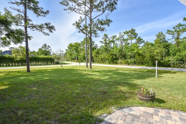 surrounding community featuring a lawn