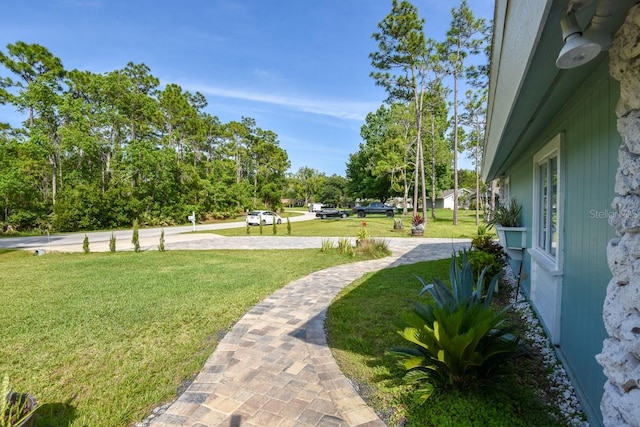 view of home's community with a yard