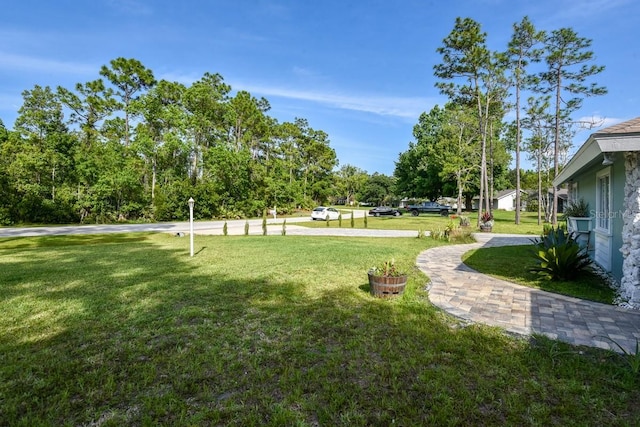213 Riverbend Rd, Ormond Beach, FL 32174 - photo 78