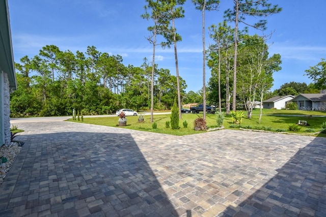 view of home's community with a yard