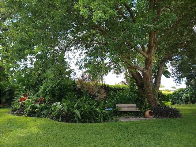 1608 Bob O Link Dr, Venice, FL 34293 - view of yard