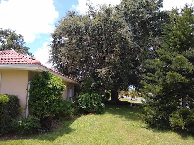 1608 Bob O Link Dr, Venice, FL 34293 - view of yard