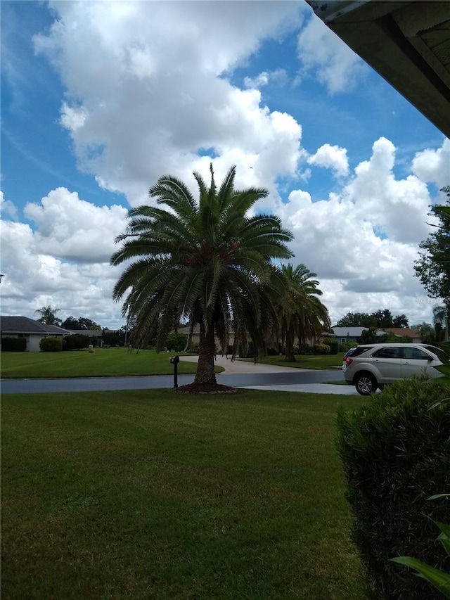 1608 Bob O Link Dr, Venice, FL 34293 - exterior space