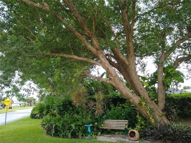 1608 Bob O Link Dr, Venice, FL 34293 - view of yard