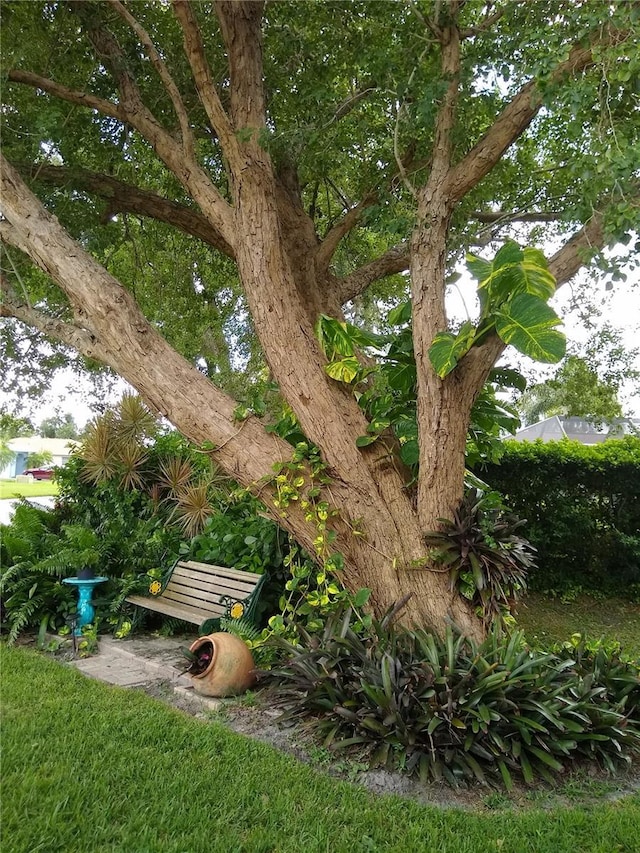 1608 Bob O Link Dr, Venice, FL 34293 - view of yard