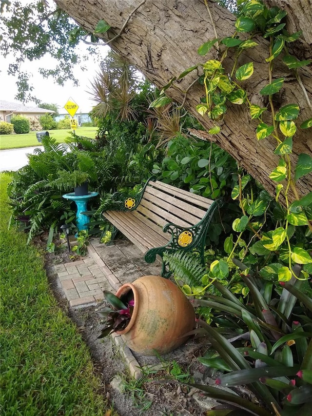 1608 Bob O Link Dr, Venice, FL 34293 - view of yard