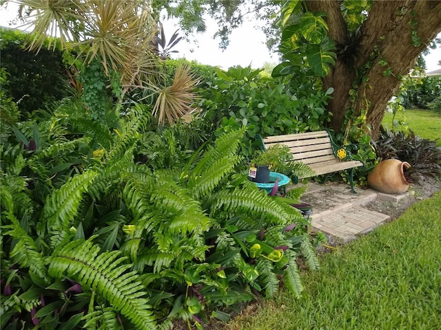 1608 Bob O Link Dr, Venice, FL 34293 - view of surrounding community