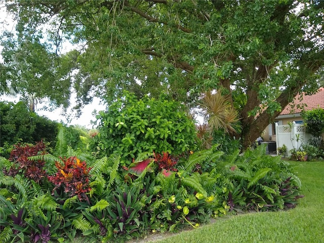 1608 Bob O Link Dr, Venice, FL 34293 - view of yard
