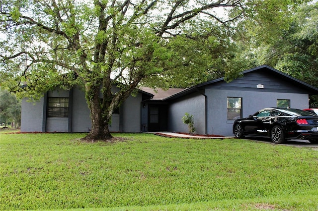 ranch-style house featuring a front lawn and stucco siding