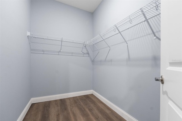 spacious closet featuring hardwood / wood-style floors