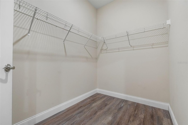 walk in closet with dark wood finished floors