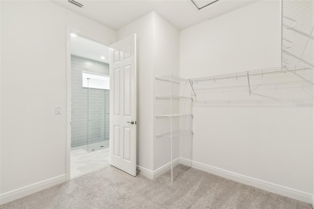 spacious closet featuring carpet floors and visible vents