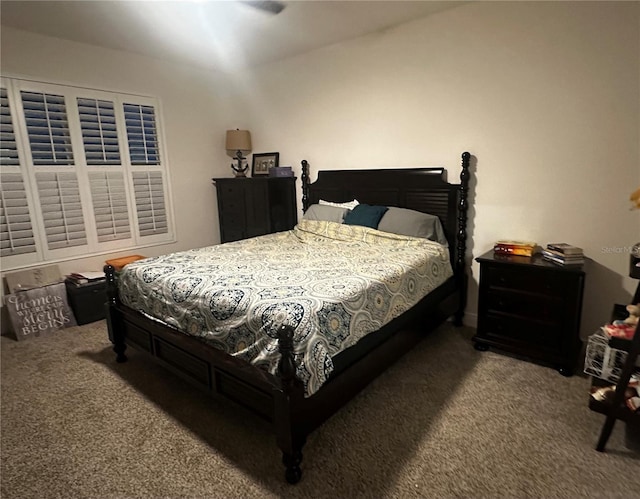 bedroom with carpet floors