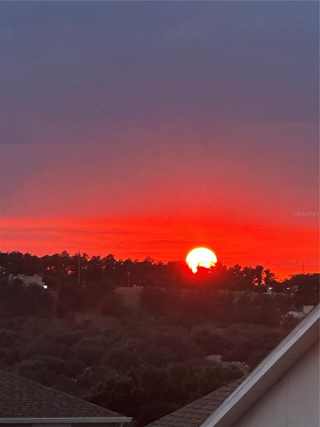 view of nature at dusk